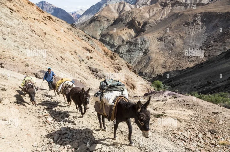 1_wJ9or49KCPHBbN7Z3ehM6Q